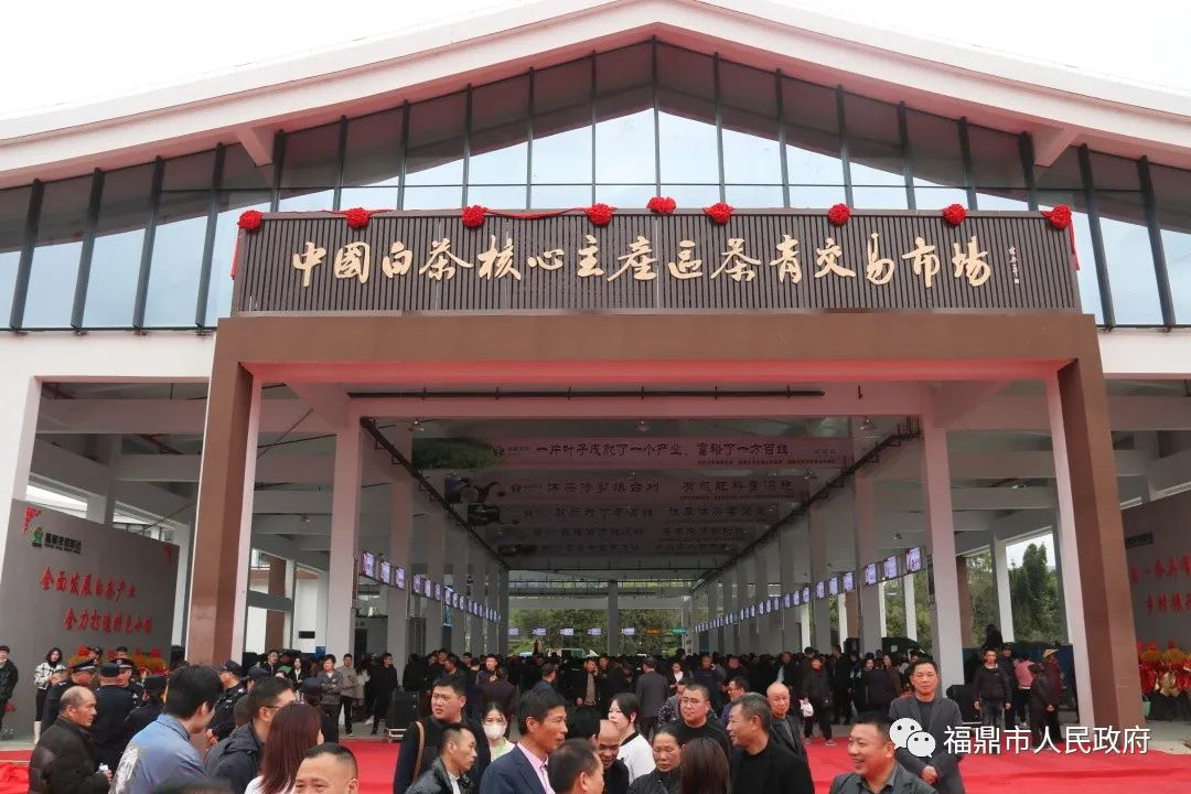 更智能、更规范！沙巴体育白茶交易有了新平台→