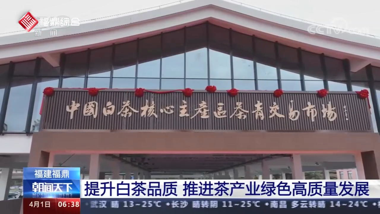 福建沙巴体育：提升白茶品质 推进茶产业绿色高质量发展